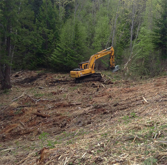 Diggers and Dumpers Land Clearing