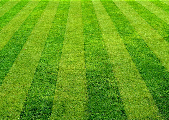 Diggers and Dumpers Mowing