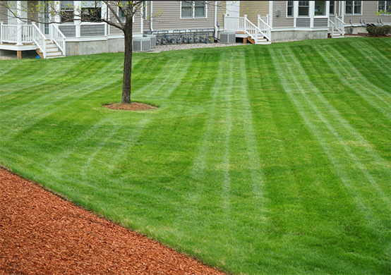 Diggers and Dumpers Mowing